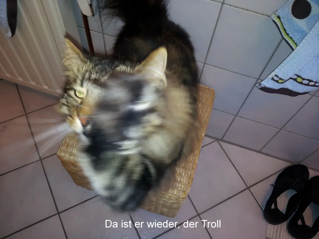 Bild von Richie