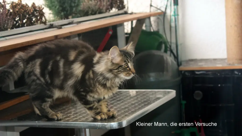Bild von Richie