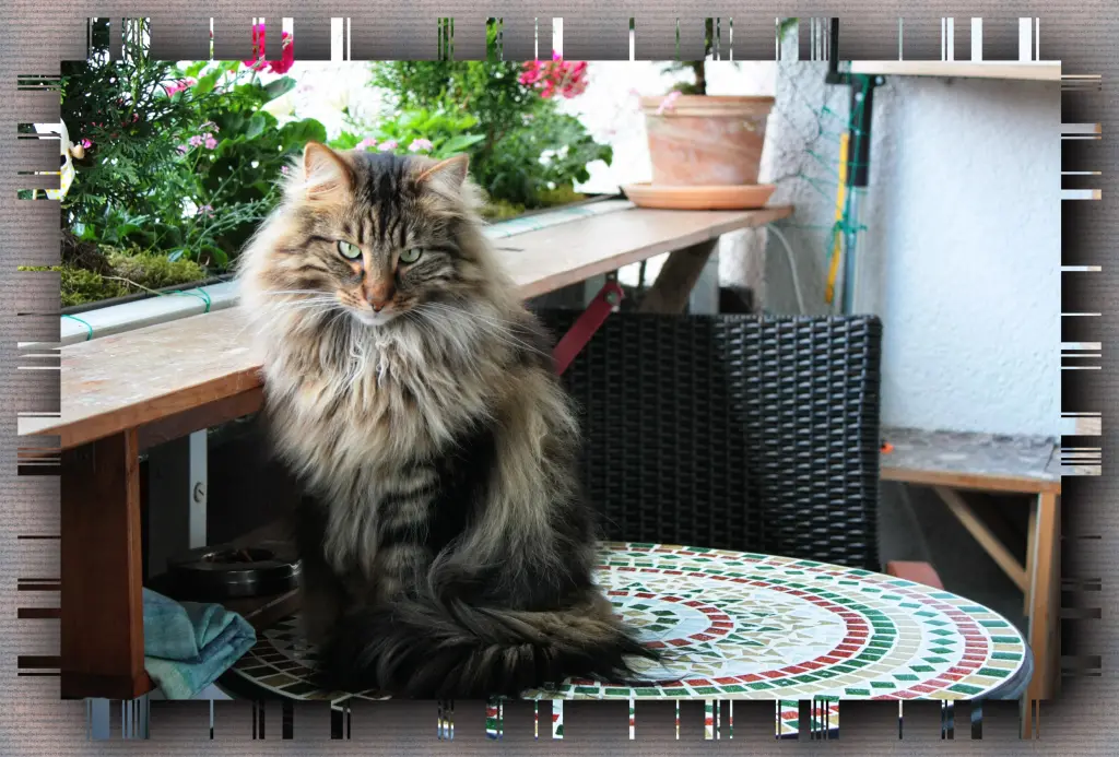Bild von Richie