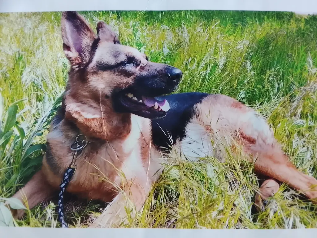 Condolence image of Jaden Solero