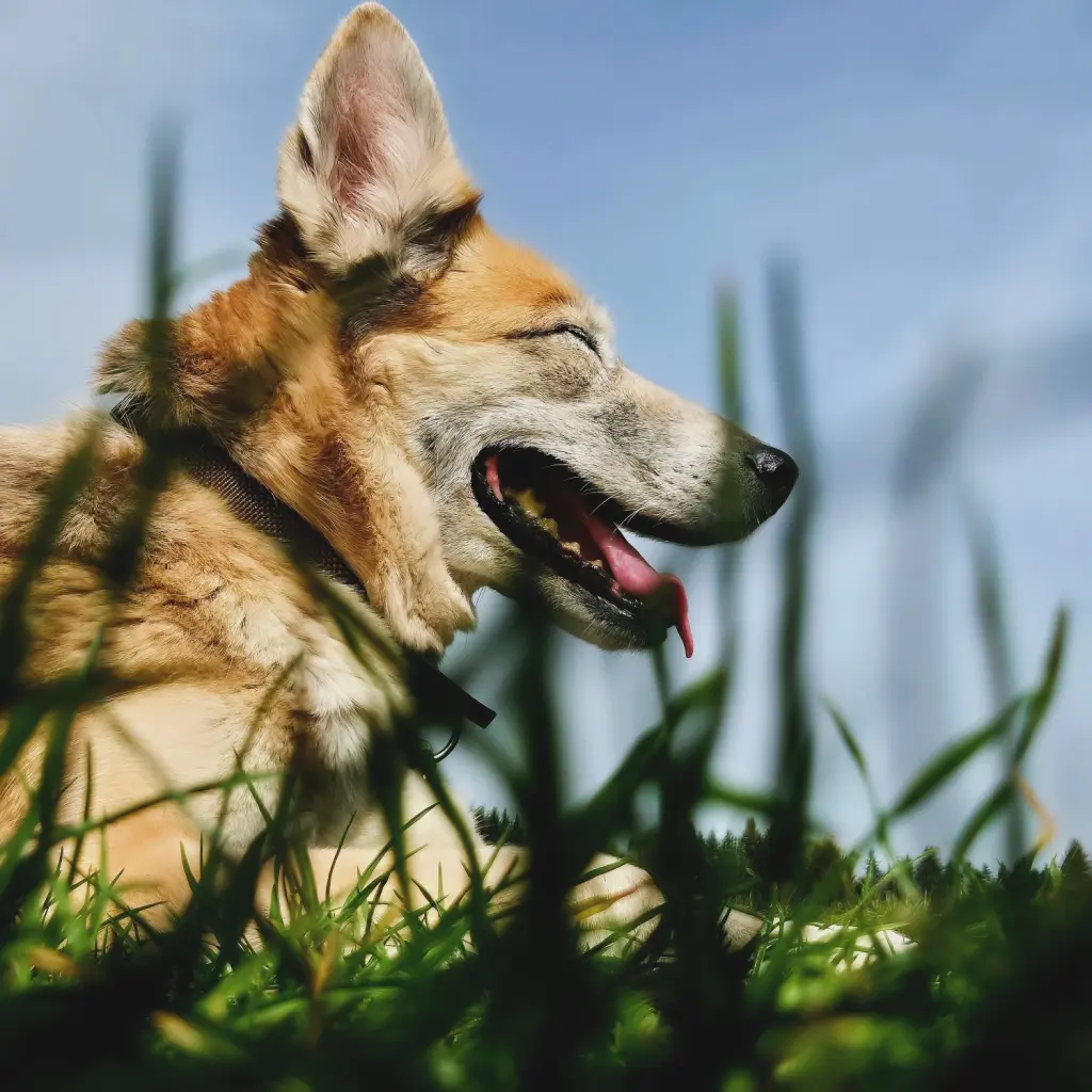 Andachtsbild von Concetta Henke