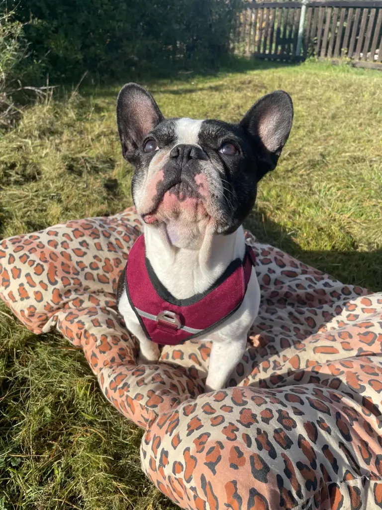 Andachtsbild von Mandy Richter