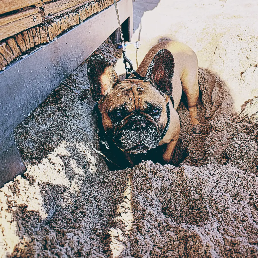 Sand war für dich das Größte 🥰