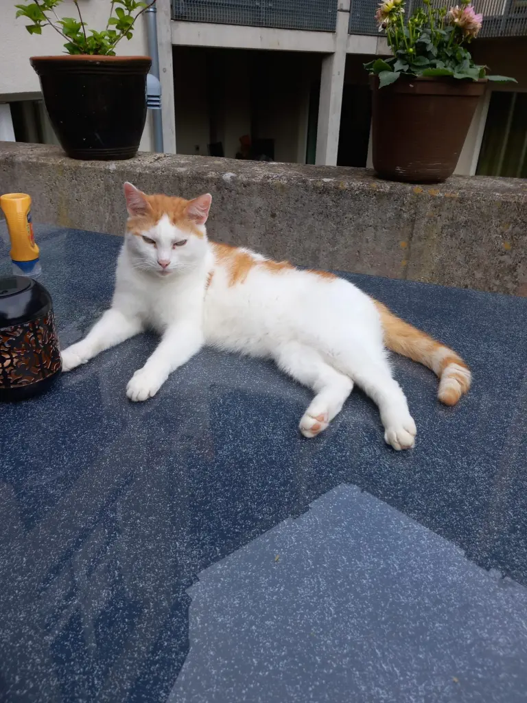 Andachtsbild von Karen Weidenfelder