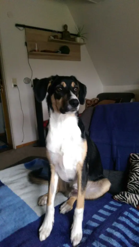 Andachtsbild von Joachim Kopp