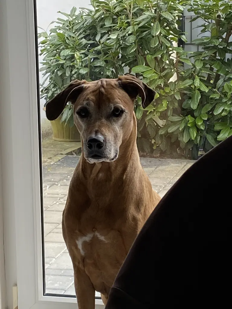 Dein Lieblingsplatz ❤