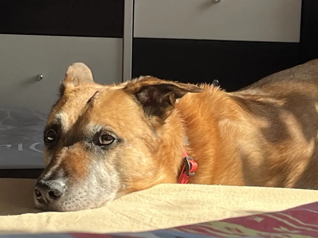 Andachtsbild von Maggie Jaggy