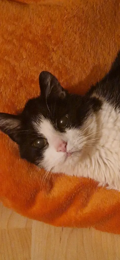 Andachtsbild von Michelle Bänsch