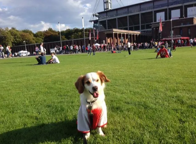 Andachtsbild von Alfredo Saitta