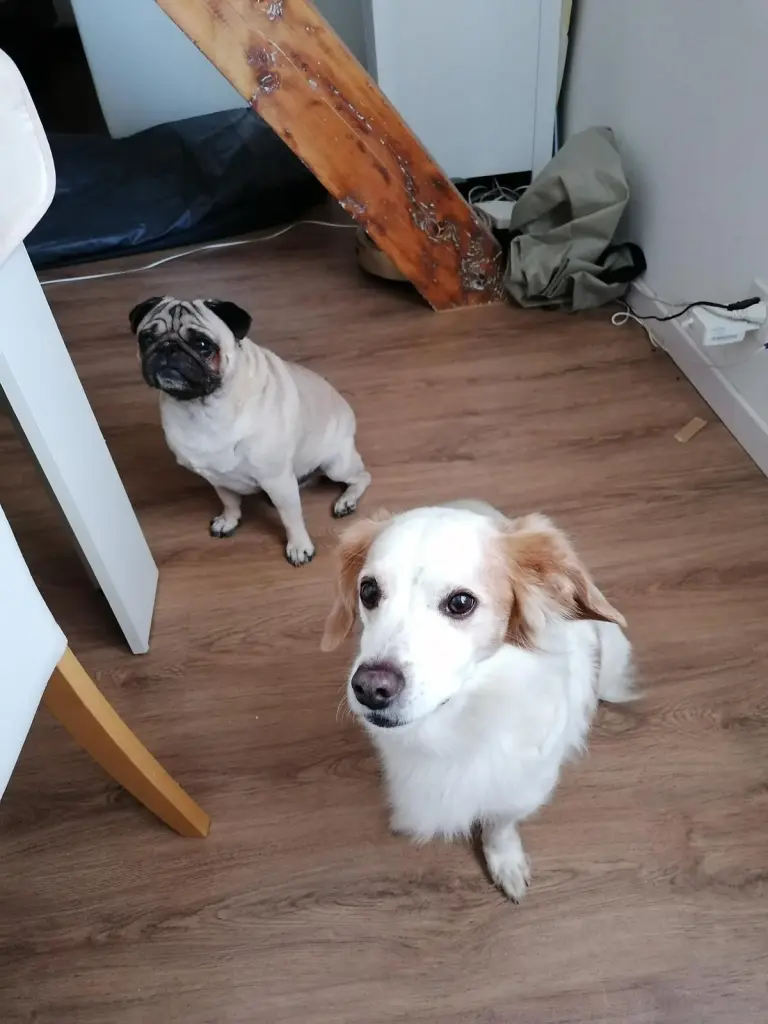 Andachtsbild von Jessica Saitta