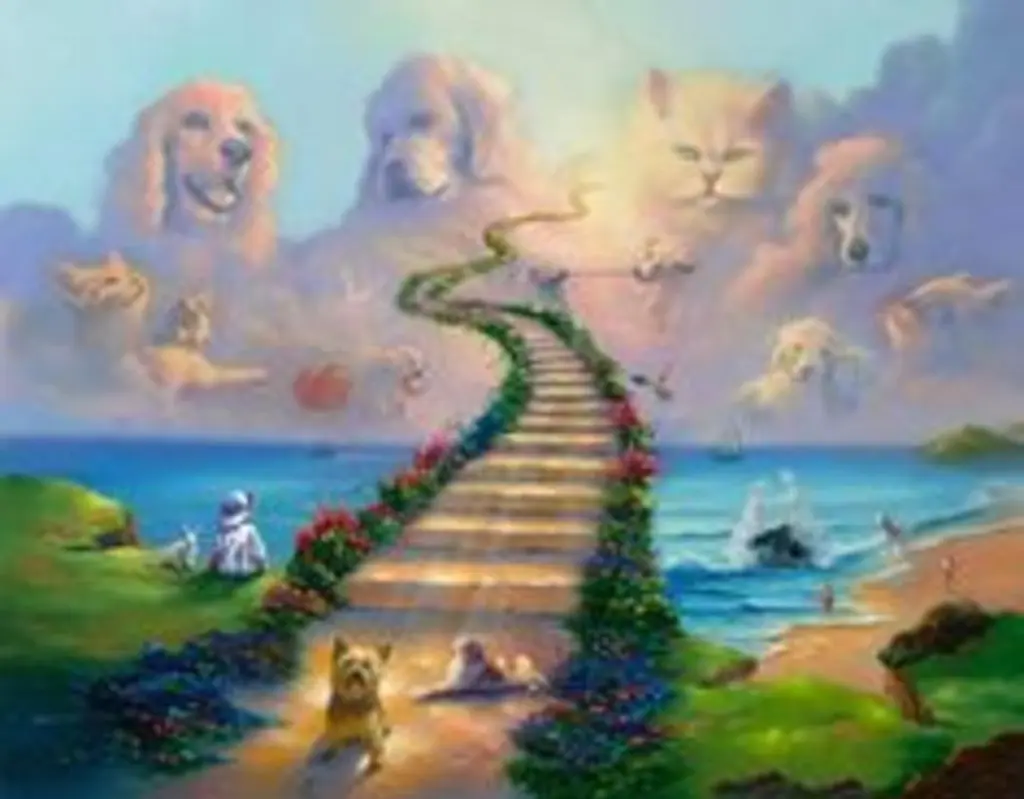 Condolence image of Brigitte mit Nelly, verst. am 01.11.2017