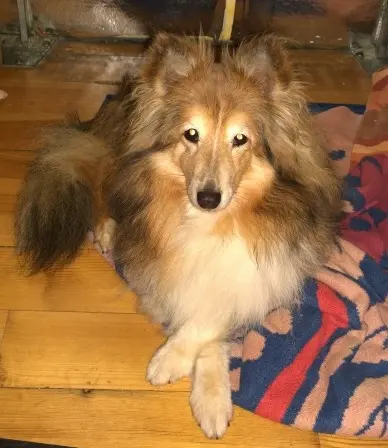 Condolence image of Sabine