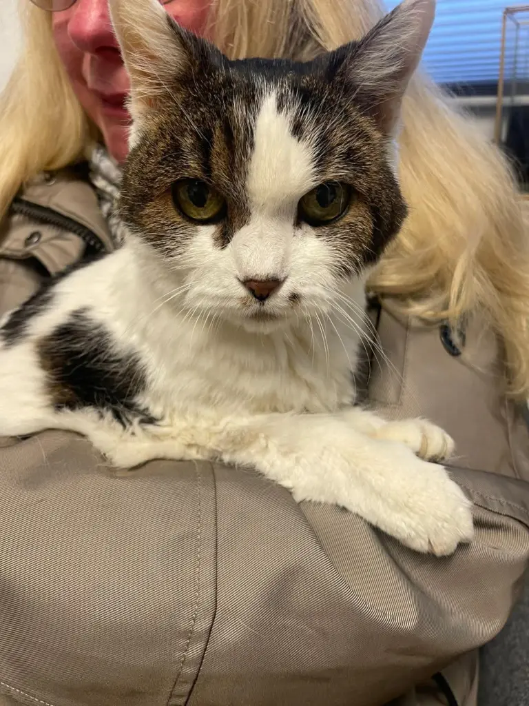 Andachtsbild von Ruth Stecher