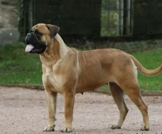 Condolence image of Karsten