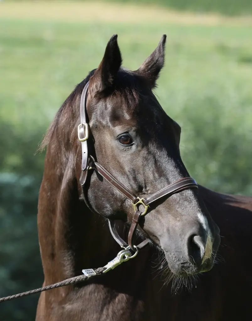 Condolence image of Tina