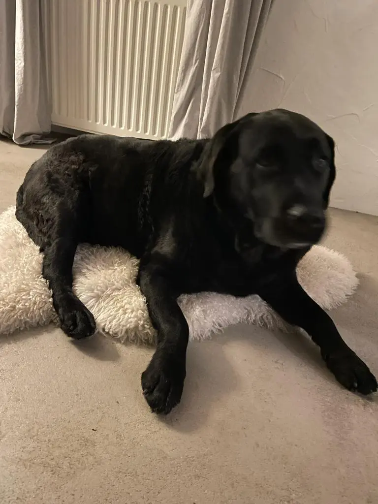 Andachtsbild von Gabriele Beckmann