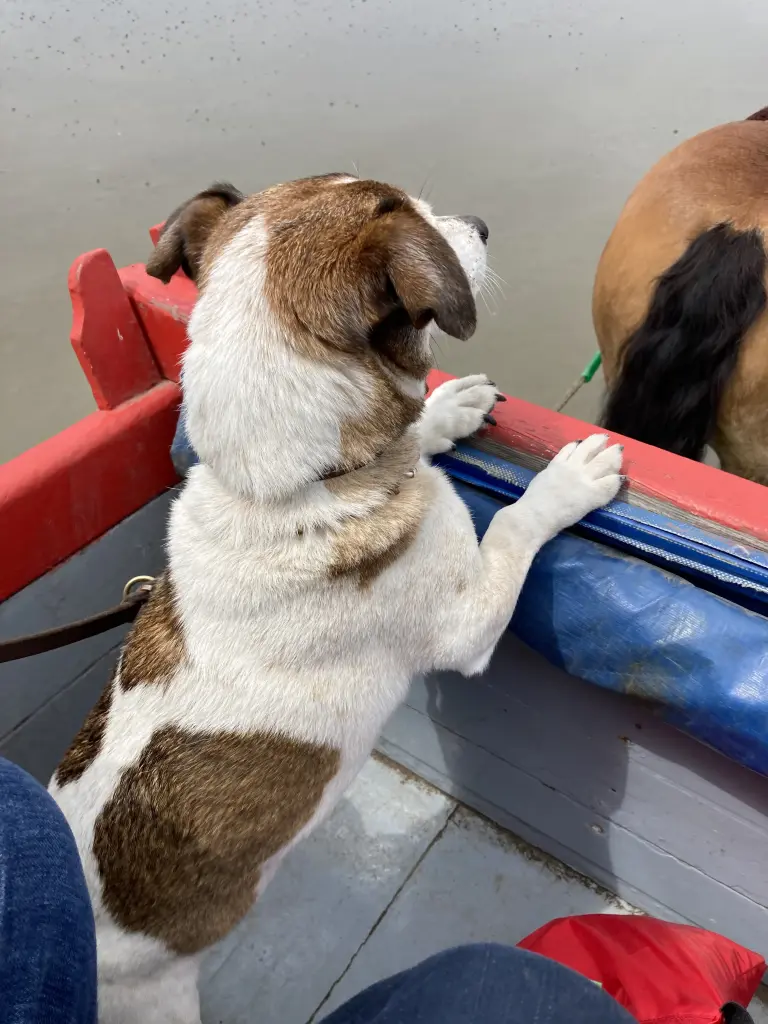 ... hast alles mitgemacht