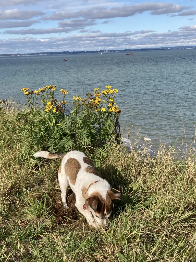 ... und immer im  Hier und Jetzt!