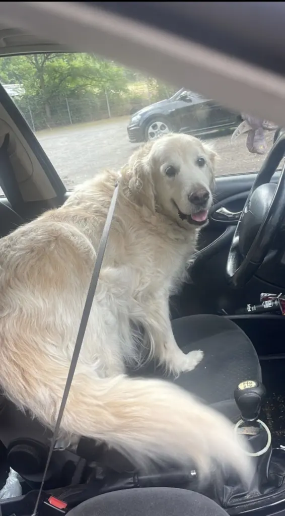 Andachtsbild von Mila Serwe