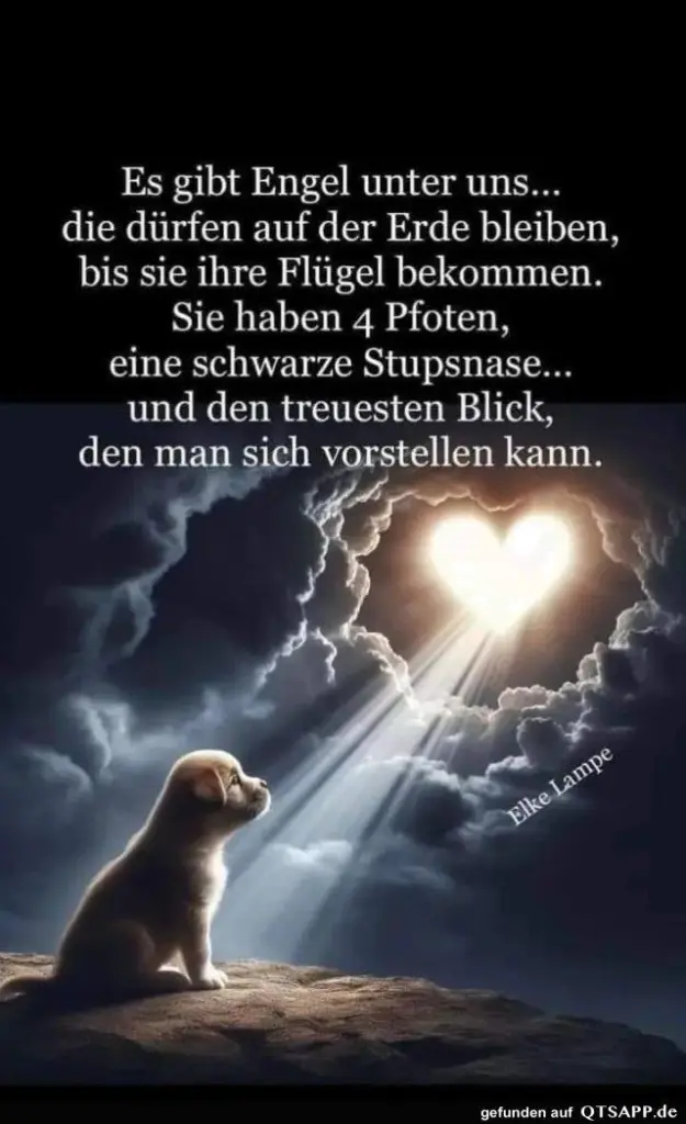 Andachtsbild von Alois und Gudrun mit Yoda ♥️