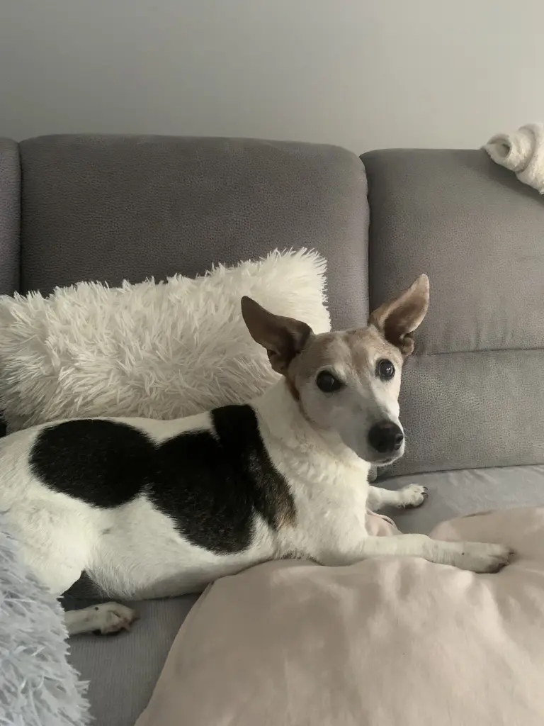 Andachtsbild von Mona mit Lina im ♥️