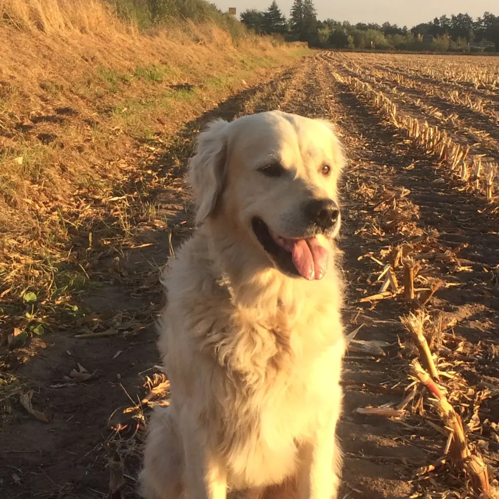 Andachtsbild von Andy und Piet ❤️❤️