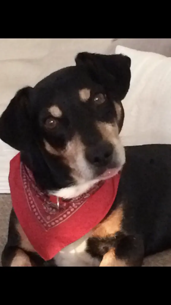 Andachtsbild von Kerstin