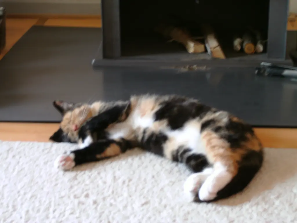 Lieblingsplatz: vorm Ofen