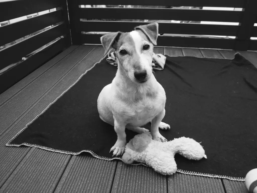 Andachtsbild von Maurice