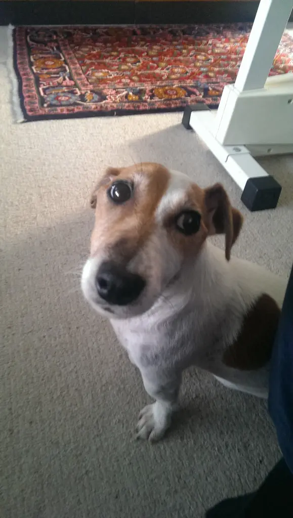 Andachtsbild von Steffen