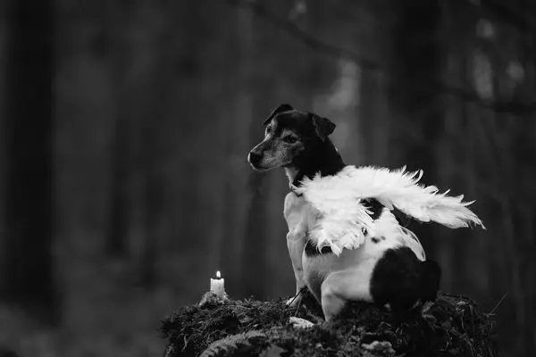 Andachtsbild von Dani 