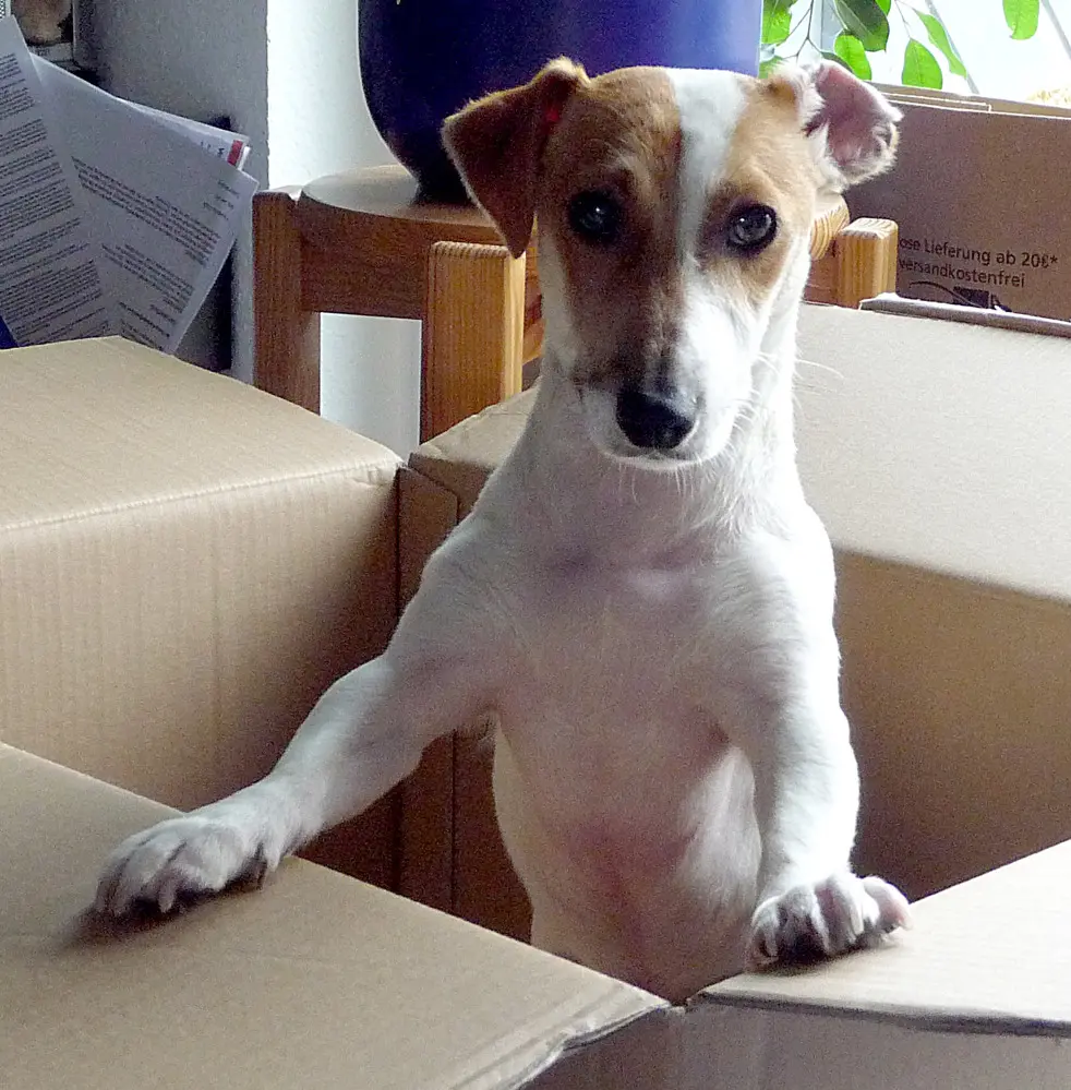 Andachtsbild von Steffen