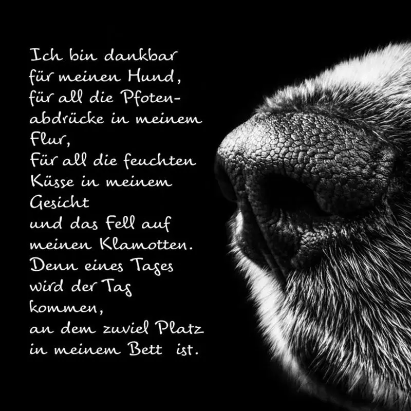 Andachtsbild von Dani 