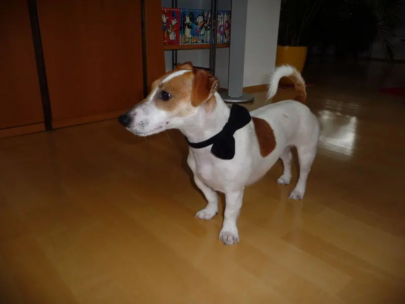 Andachtsbild von Steffen