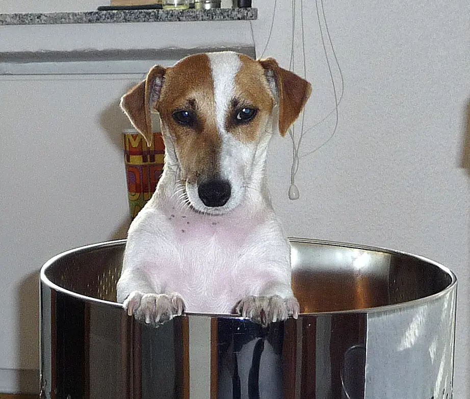 Andachtsbild von Steffen