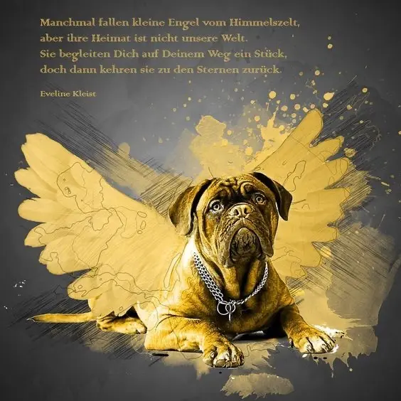 Andachtsbild von Dani