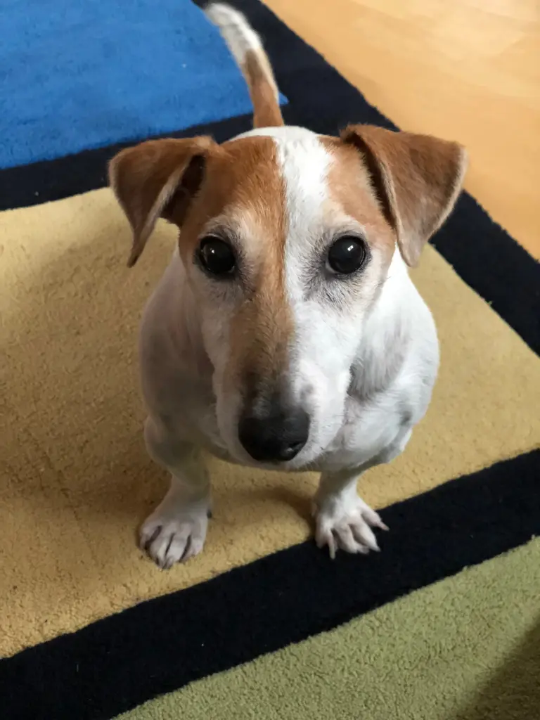 Andachtsbild von Steffen