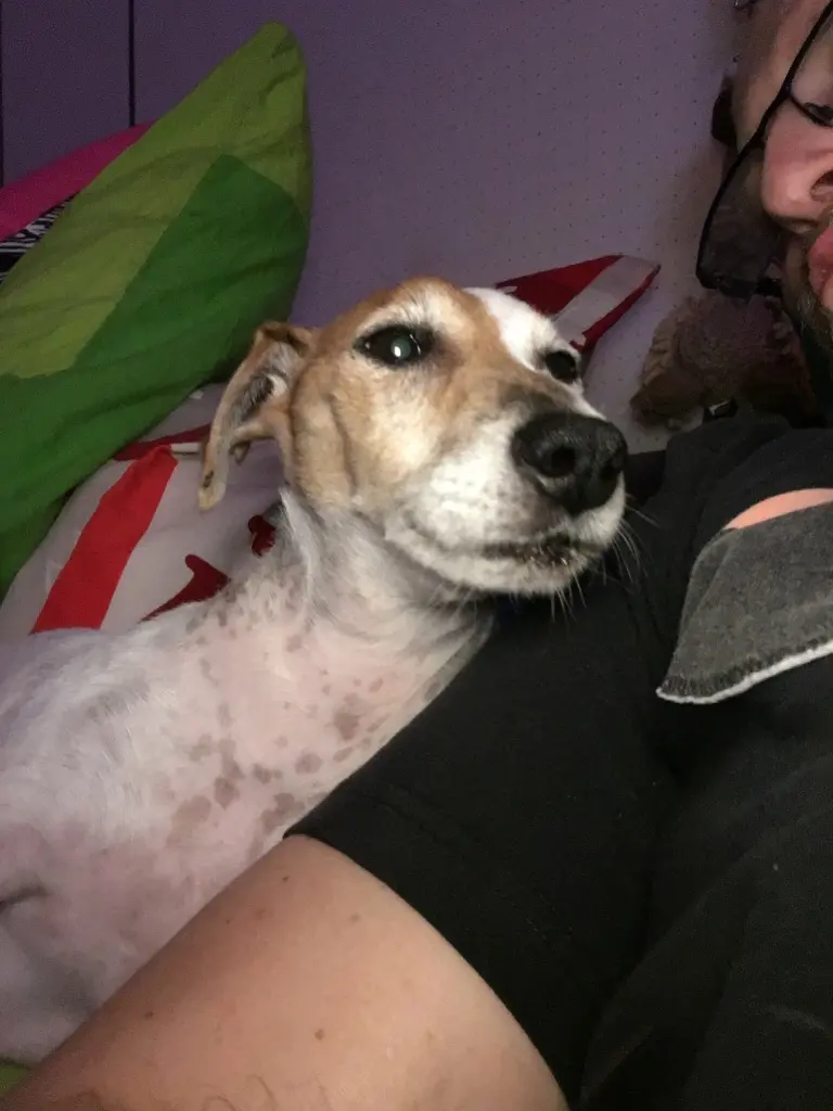 Andachtsbild von Steffen