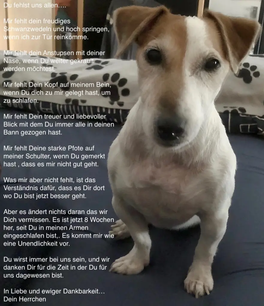 Bild von Spätzi (Dieter)