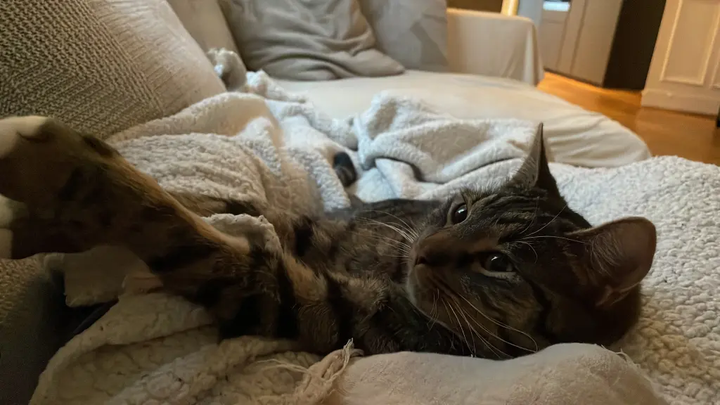 Andachtsbild von Lukas Rossner