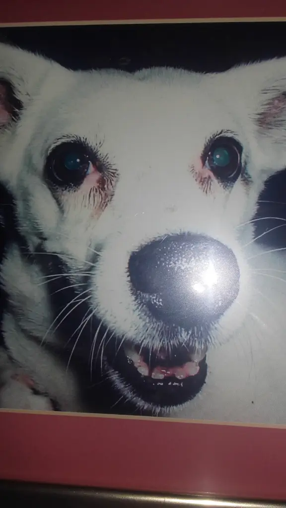 Image from Blümchen