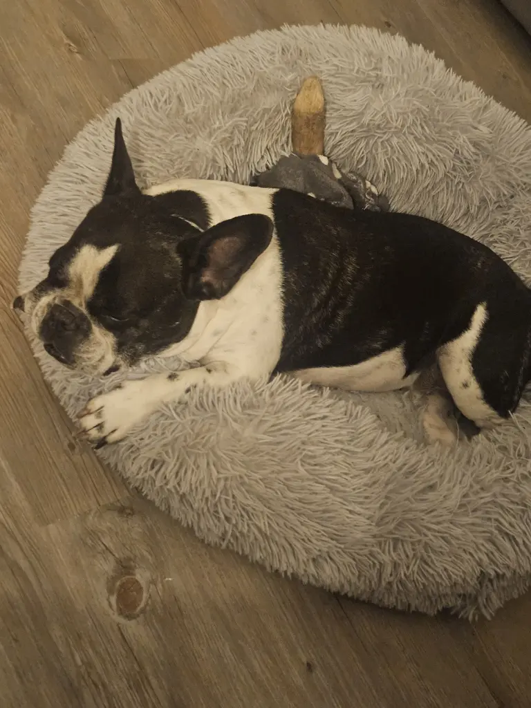 Andachtsbild von Janina Lammel