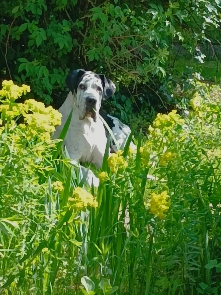 Andachtsbild von Christina Klapp