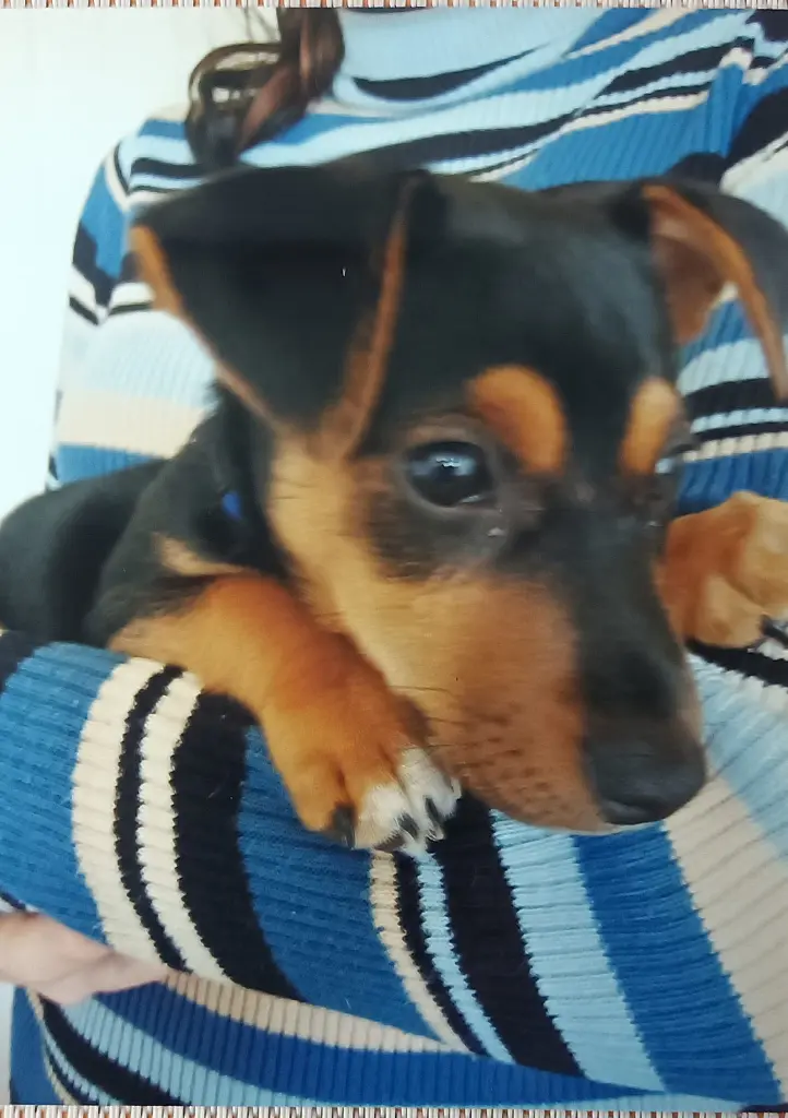 Chili, im Oktober 2008, ganz neu eingezogen