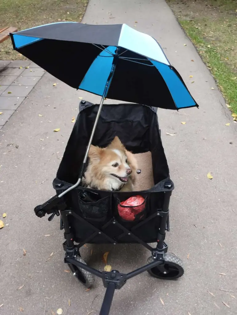 Nelly auf grosser Fahrt