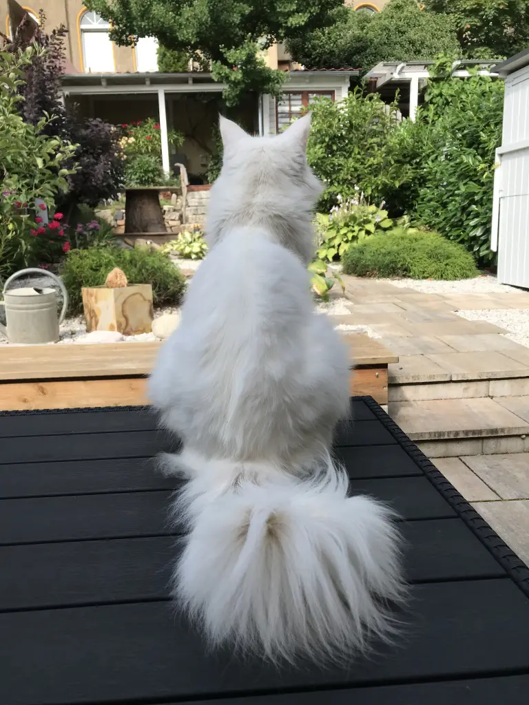 Frieda im August 2025