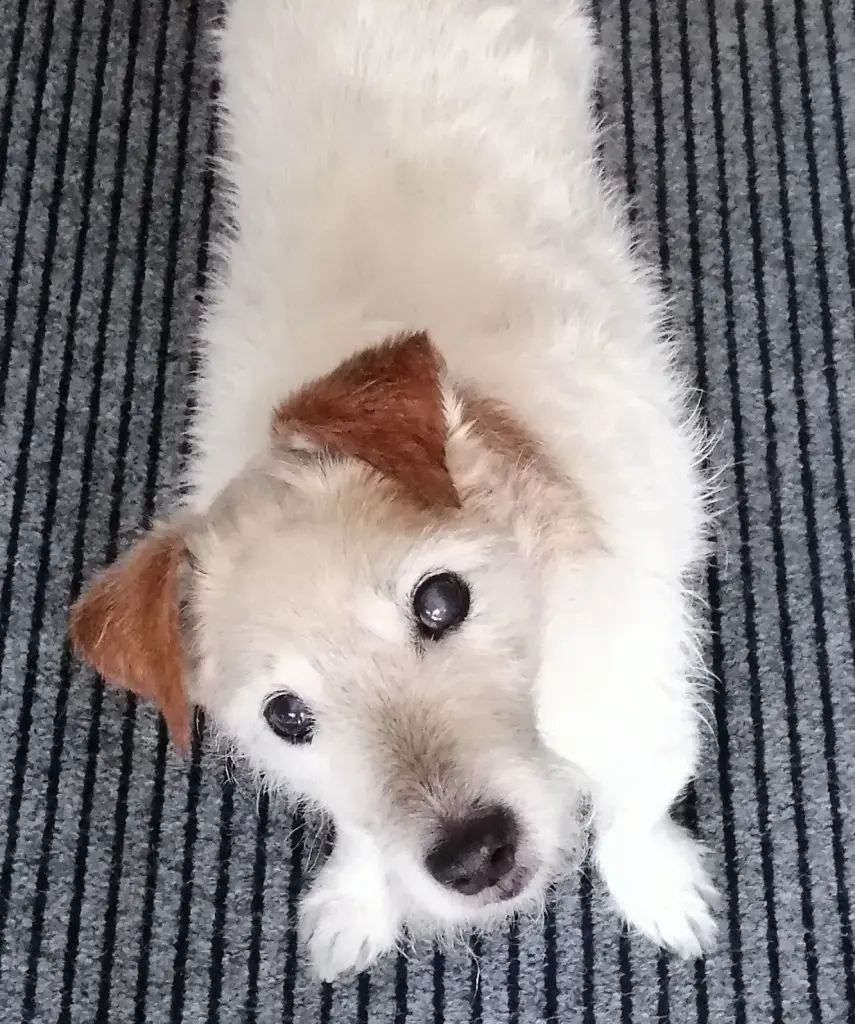 Bild von Egon (Fips)