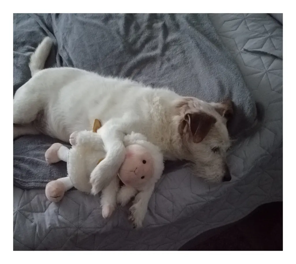 Deinen Engel immer bei dir ❤️