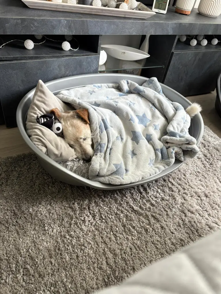 Friedlich eingeschlafen 😢💔😢