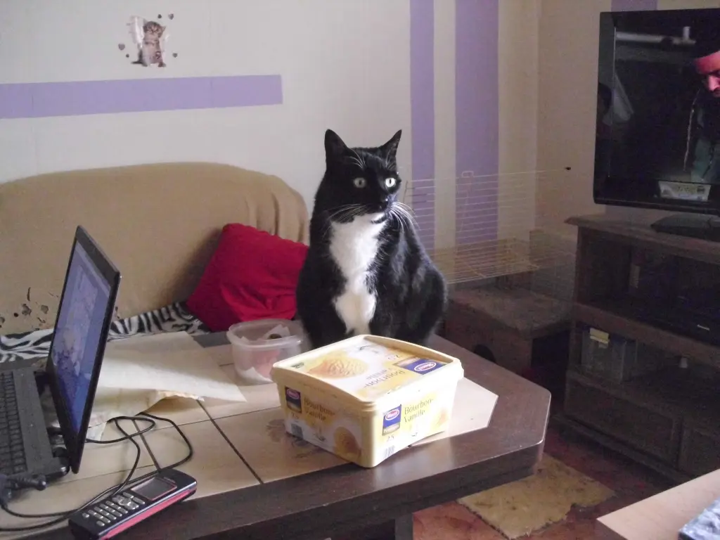 Condolence image of manuela  böttcher